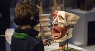 Ein Junge mit Kopfhörer von hinten fotografiert vor dem anatomischen Modell eines menschlichen Kopfs mit offenem Mund, das auf einem weißen Tisch steht.