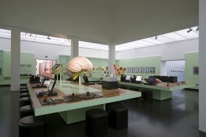 Der Raum Erinnern, Denken, Lernen mit Medienstationen und großem Gehirn-Modell auf Holzstischen. Die Hauptfarbe des Raums ist hellgrün.