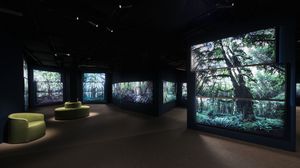 in einem dunklen Raum sind an den Wänden große Monitore angebracht, zum Teil mehrere übereinander. Sie zeigen Bäume in Urwäldern. Die Bilder sind vom Waldboden aus aufgenommen und zeigen das Sonnenlicht, dass durch die Baumkronen leuchtet.
